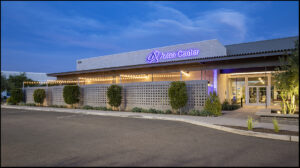 Excellence Award Winner